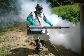 Honduras: MSF responds to new epidemic of dengue fever