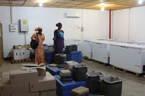 Clinical trial of a new vaccine against Rotavirus in Maradi / Niger