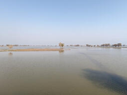 Floods in Dadu