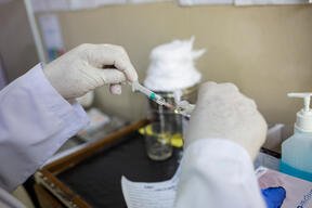 Cutaneous Leishmaniasis Treatment | Injection Preparation