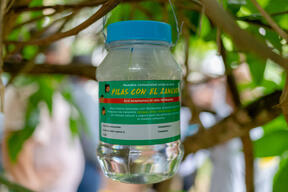 Arbovirus Project