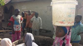 Bauchi cholera