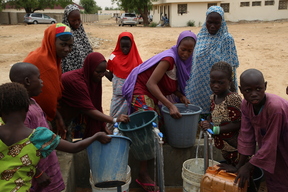Displaced in Borno state