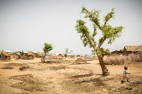 Lake Tchad Crisis: Responding to the humanitarian consequences of violence  (Extreme North Cameroon)