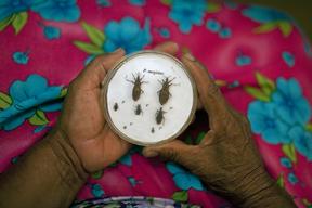 Fatal Neglect Chagas Seamus Murphy