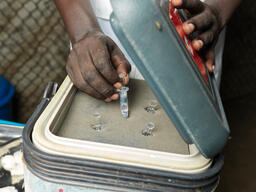 MSF carries out hepatitis world first vaccination campaign