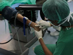 Remembering Ramtha: over four years of saving lives