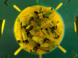 Vaccination against Pneumonia