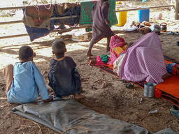 Cameroon - clashes in the Logone Birni area