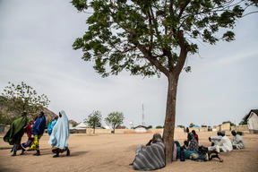 Surviving conflict in northeast Nigeria