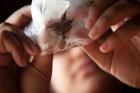 Fatal Neglect Chagas Seamus Murphy