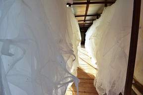 Mosquito nets drying