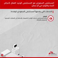 Webclip AR - Women's Health in Sudan's Conflict