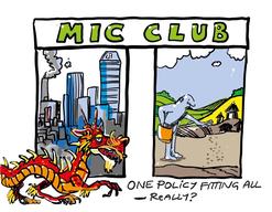 Diversity in MICs (09)