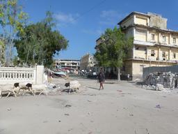 MSF activities in Mogadiscio for IDPs and general population.