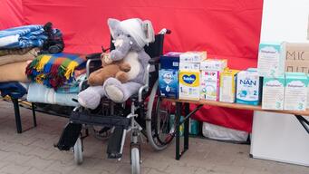 Stuffed toy in a wheelchair