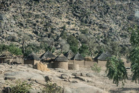 Care for victims of violence in Extreme North region of Cameroon