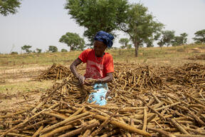 Niger: climate change adds more hardship for the most vulnerable