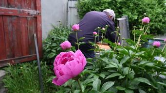 Safeguarding the mind: protecting mental well-being amidst the war in Ukraine
