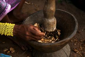 Cameroon - Central African refugees