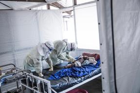Lassa fever project
