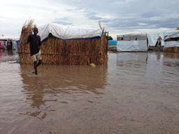 South Sudanese in Gambella region