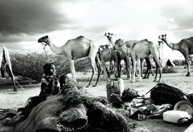 FR02323.jpg