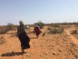 Malnutrition emergency in Somali Region, Ethiopia