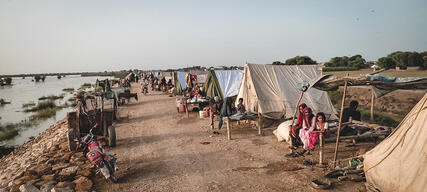 Camps Dadu District