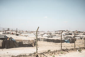 Al-Hol camp