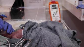 INT_VIDEO 3_MATERNITY