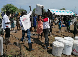 MSF distribution of NFI