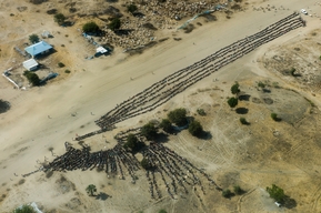 Dec 2013 - 2015: Relentless violence in Unity State, South Sudan