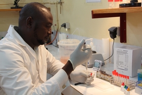 Clinical trial of a new vaccine against Rotavirus in Maradi / Niger