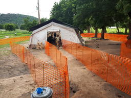 MSF working to prevent a new cholera epidemic in northern Cameroon