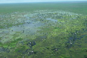 Floodings in Haat and Old Fangak areas