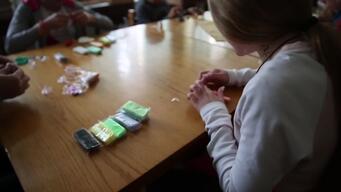 INT - Providing Mental Health Care in Ukraine