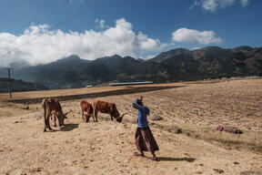 Tigray Fighting Consequences on  Population