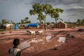 PCV Vaccination Campaign in Yida Camp