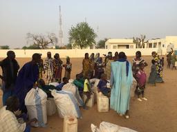 MSF emergency response activities