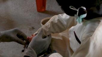 Diphtheria outbreak in Kano [INT]