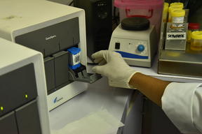 TB programs in Gulf Province and Port Moresby