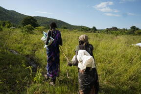 Maruwa - Malaria Prevention