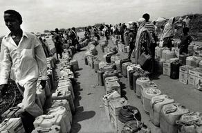 FR01330.jpg