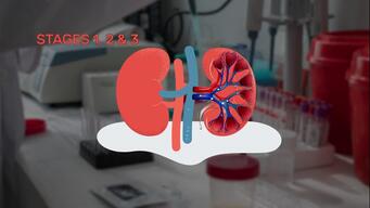 Mesoamerican endemic Nephropathy (MeN) a humanitarian crisis in Guatemala