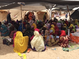 Niger. Thousands of newly displaced people in Diffa Region