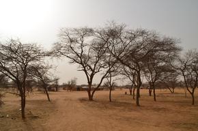 Health centers for malian refugees, all uses.