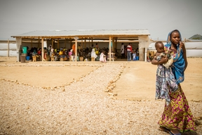 Lake Tchad Crisis: Responding to the humanitarian consequences of violence  (Extreme North Cameroon)