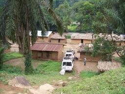 MSF in Pinga Healthzone, DRN, June 2010