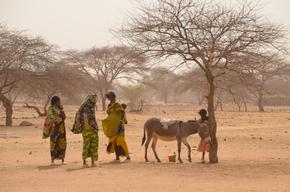 Health centers for malian refugees, all uses.